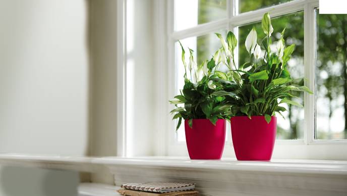 brussels diamond rond 14cm lovely rouge